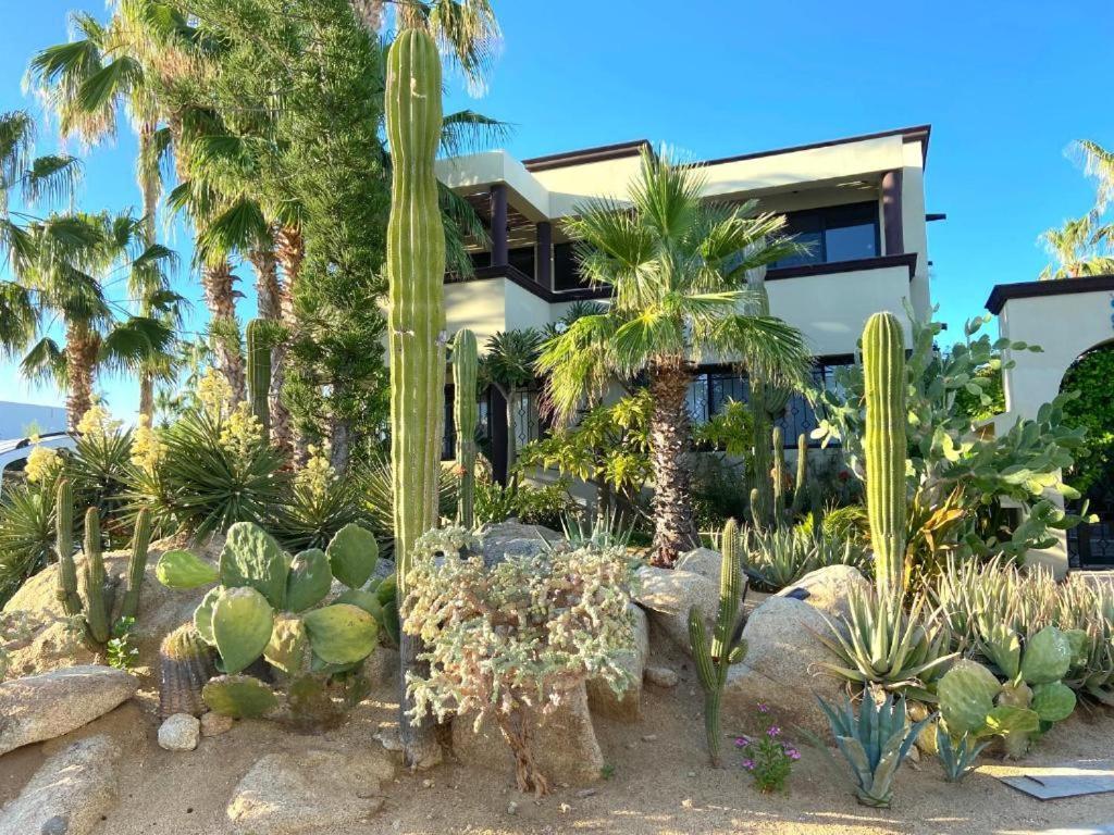 Spectacular Vacation Home Ocean View Walk To Beach كابو سان لوكاس المظهر الخارجي الصورة